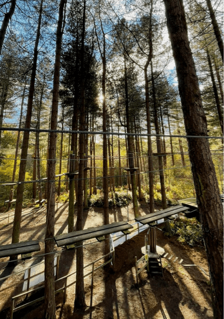 Treetop adventure course