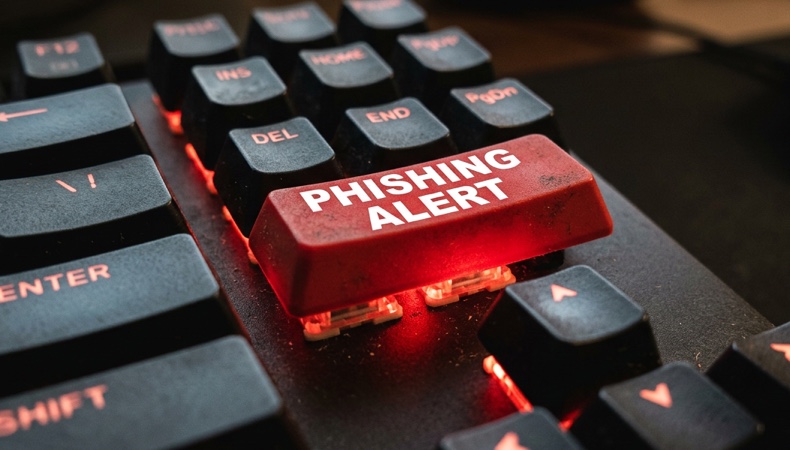 Phishing Fake Websites and How to Spot Them